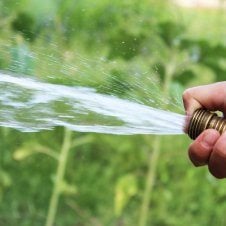A hose with water coming out of it.
