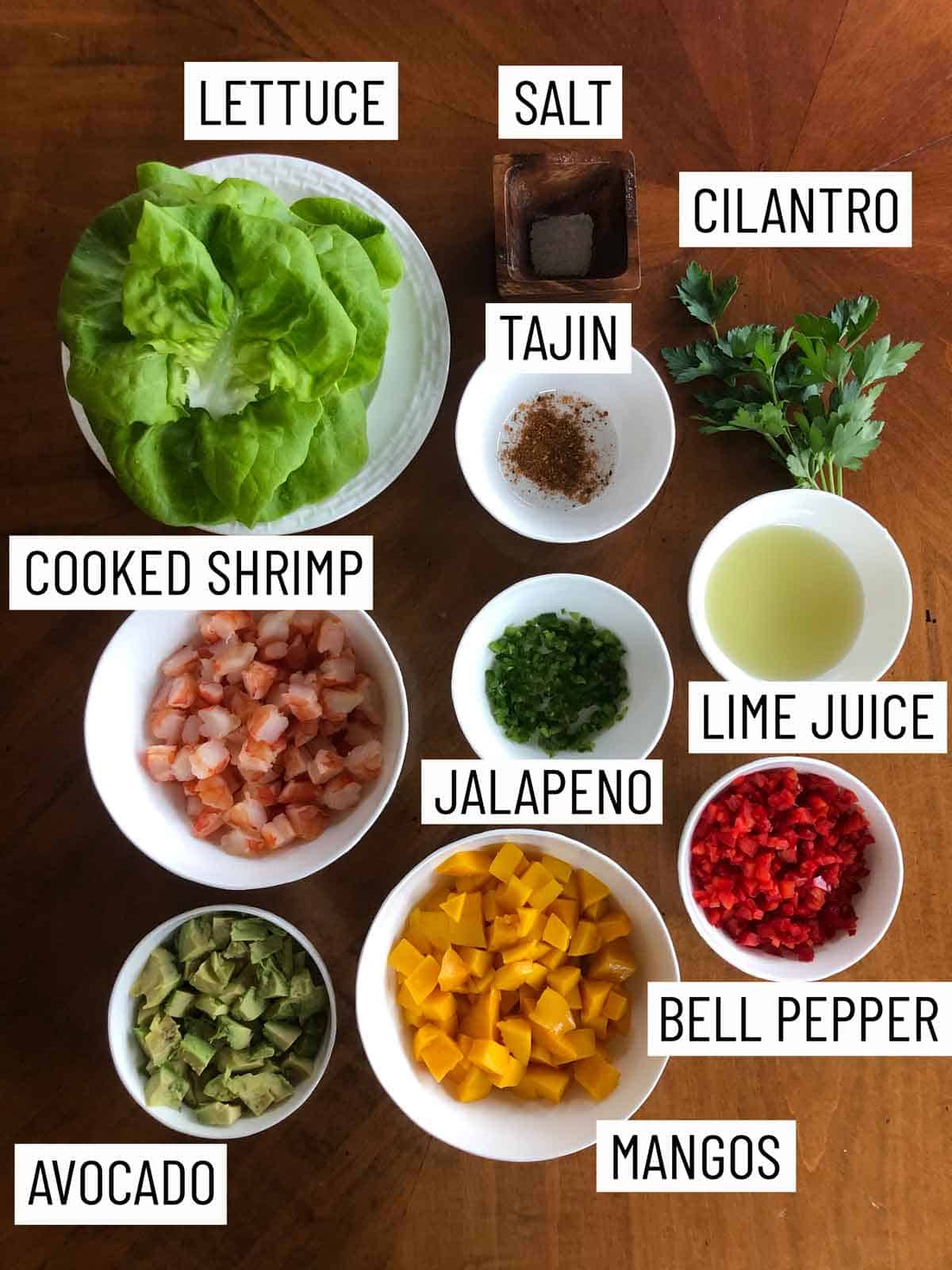 Ingredients needed to make Mango Avocado Salad.
